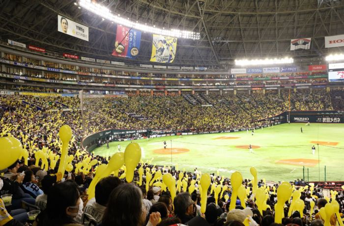 燃燒野球靈魂的遠征！味全龍攜手東南旅遊推「福岡熱血應援團」，與小龍女共譜夢幻野球夢！